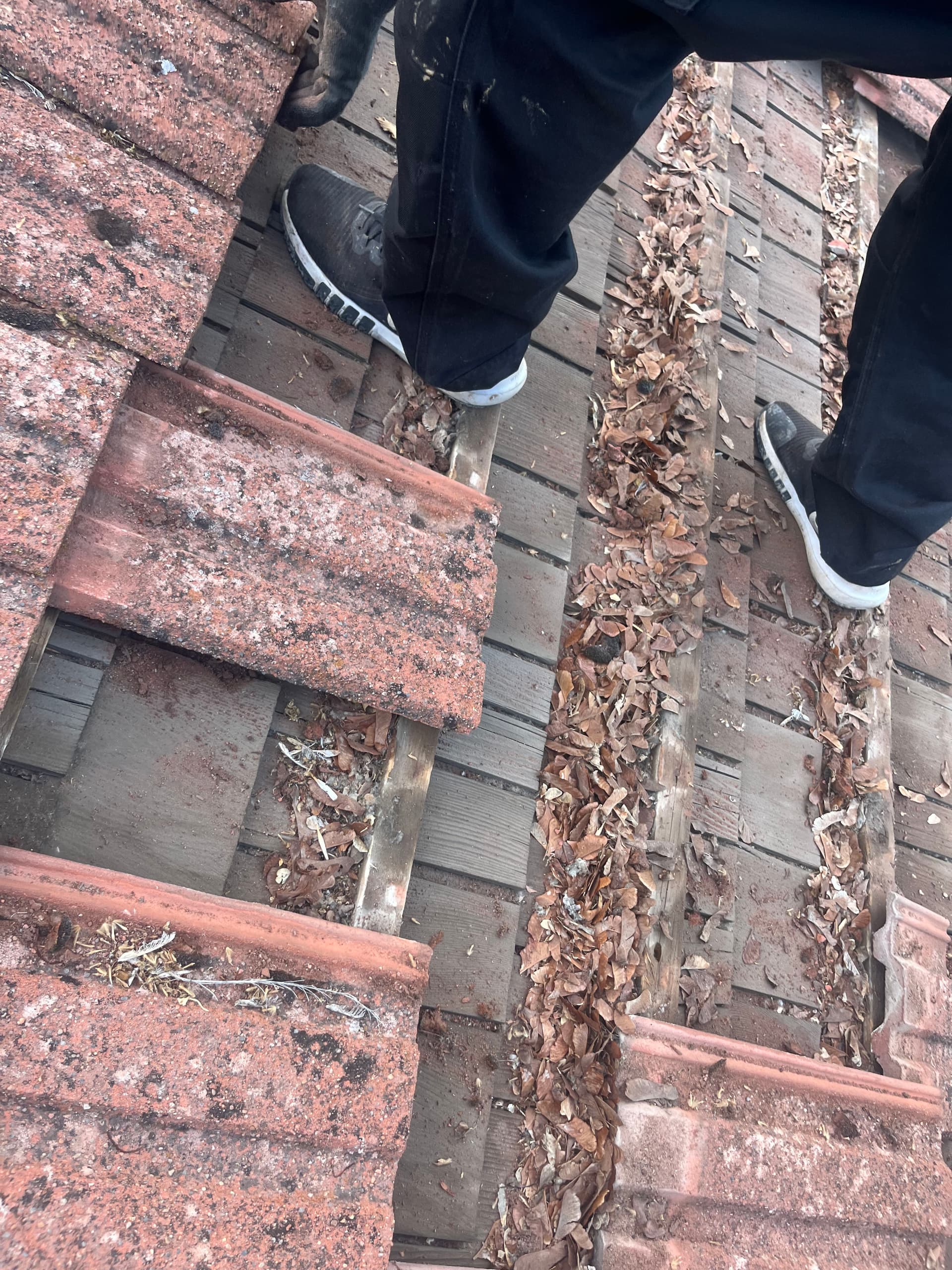 Gallery photos for Providence Home Gets a Full Roof Replacement After 50 Years: Image #5